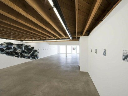 Arcadia, Exhibition view. Courtesy of 101/EXHIBIT
