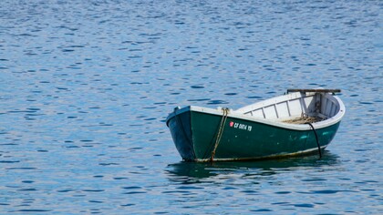 Alfred è innamorato pazzo del mare 