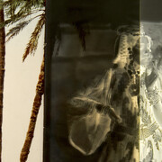  Gloria Oyarzabal, Untitled (detail), de la série On phantoms, wounds & the wa/ondering eye, 2025. Mit freundlicher genehmigung von Photo Elysée © Gloria Oyarzabal