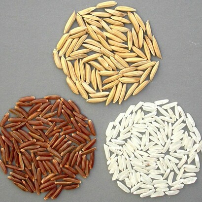 L’unica cura attualmente esistente è attenersi strettamente al rispetto di una dieta “salvavita” di esclusione del glutine per tutta la vita