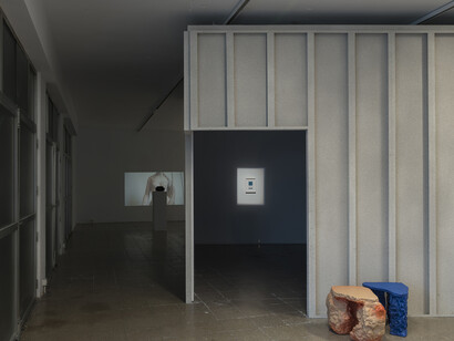 Amie Siegel. Courtesy of Nogueras Blanchard