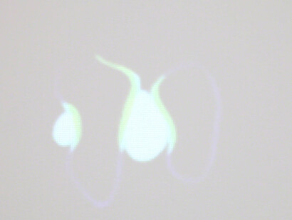 Tom Friedman. Courtesy of Luhring Augustine