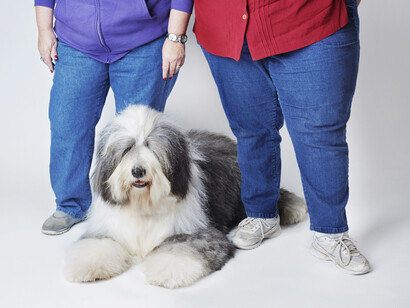 Les pattes et le chien », 2014, Photographie © Philippe Jarrigeon