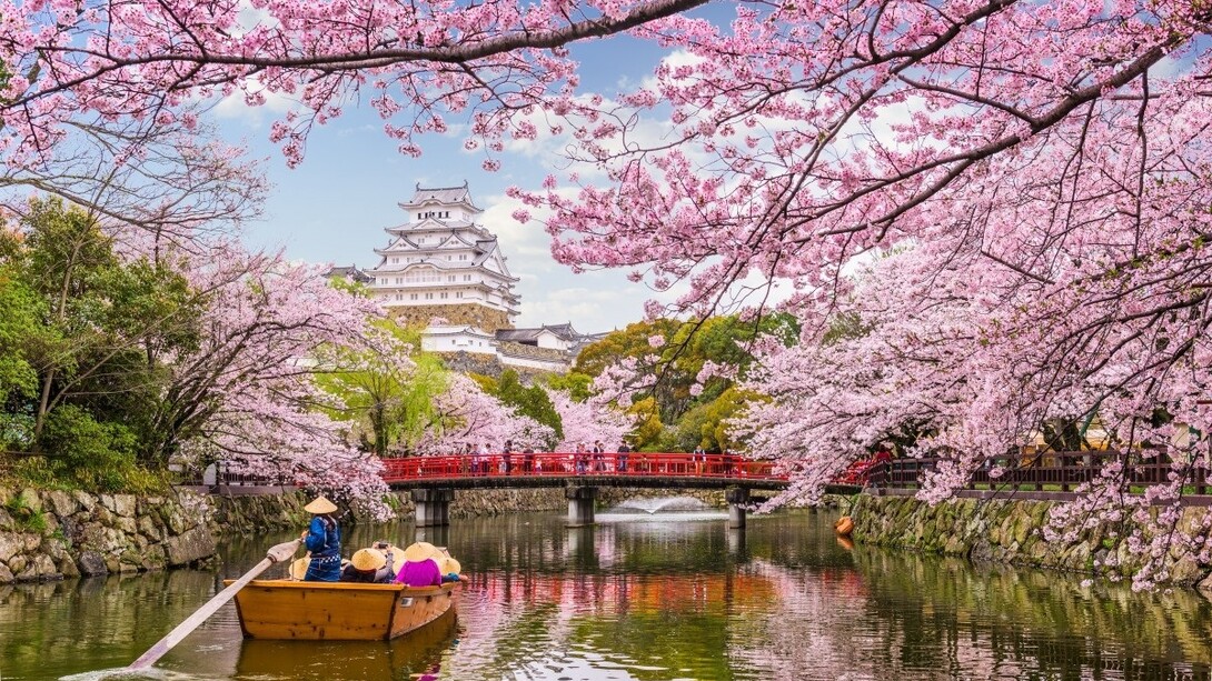 Japan is one of the main representatives of market capitalism