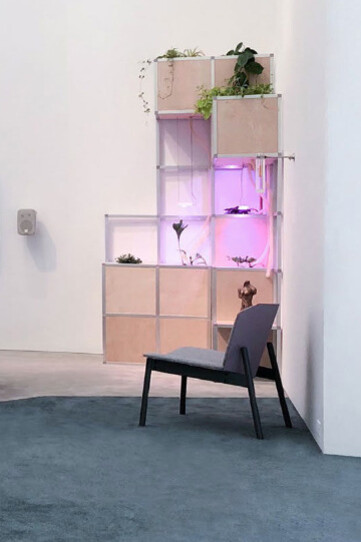 New Eelam. Courtesy of IMA