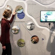 Flüsse, ausstellungsansicht. Mit freundlicher genehmigung des Senckenberg Naturmuseums