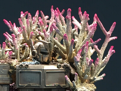Damien Hirst. Treasures from the Wreck of the Unbelievable. Ph. Irene Fanizza