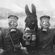 Casa della Memoria e della Storia