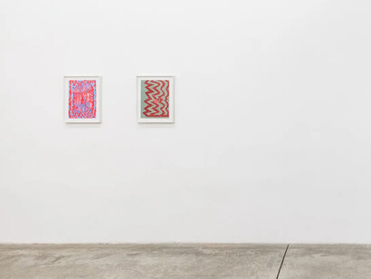 Adriana Czernin, American flowers, exhibition view. Courtesy of Galerie Martin Janda 