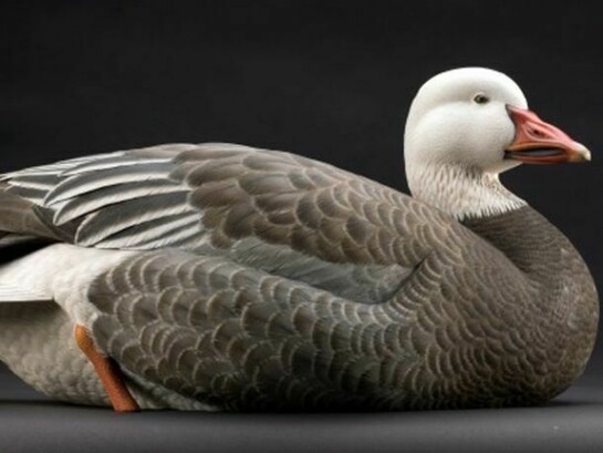 Barry Woodcraft, ‘Blue Phase Snow Goose’, 23 x 41 x 17 cm, Tupelo wood, acrylic and oil