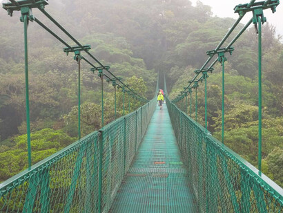 Puente colgante en la Reserva biológica Bosque nuboso Monteverde, Costa Rica