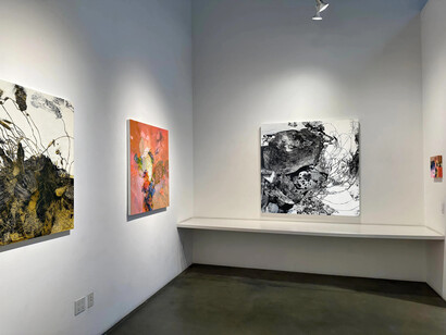Shar Coulson, Lucid phantasies, exhibition view. Courtesy of Nüart Gallery