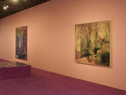 The man who saved a dog from an imaginary fire, Exhibition view. Courtesy of Wilding Cran Gallery