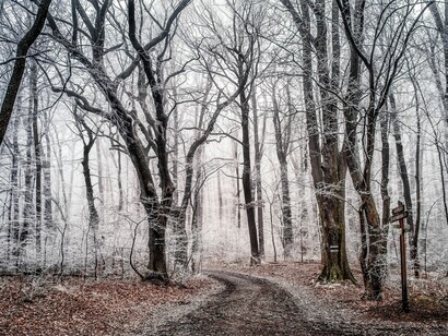 La ricca semplicità di un momento perfetto