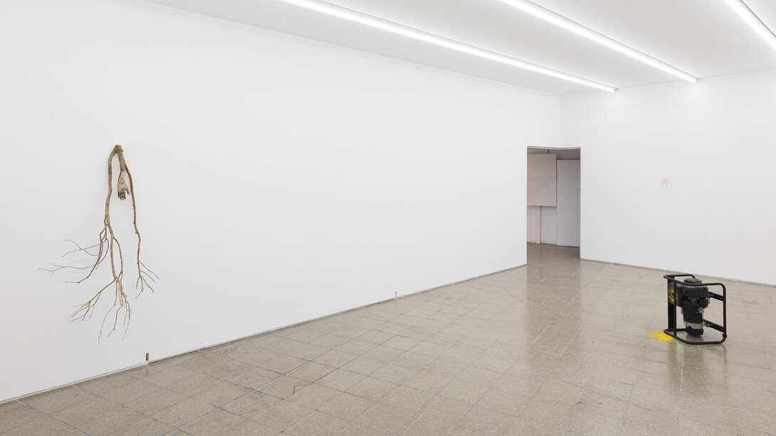 Cortesía Nogueras Blanchard, Barcelona/Madrid Fotografía Roberto Ruiz