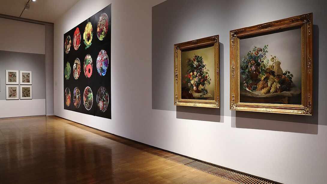 Analytische schönheit. Blumenbilder aus 200 jahren, ausstellungsansicht. Mit freundlicher genehmigung der Neuen Galerie Graz