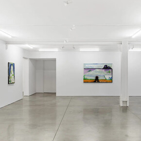 George Nelson Preston, Ayahuasca notebook paintings journeys and returns, exhibition view. Courtesy of Ryan Lee Gallery