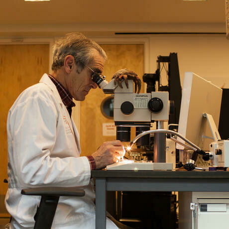 Project Lab. Courtesy of California Academy of Sciences