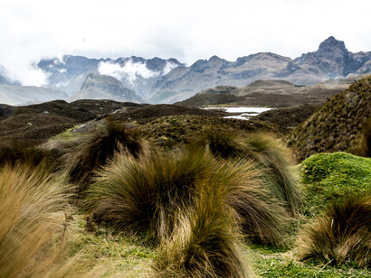 Witjai - I Exist #amazon18