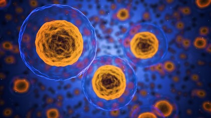 Desentrañando los misterios del cuerpo humano