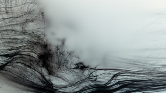 Wolfgang Tillmans. Courtesy of Fondation Beyeler 