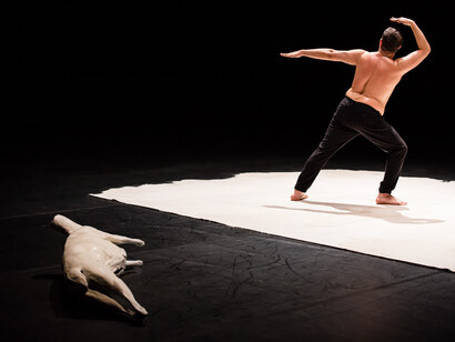 La Compagnie de Soi, "A mon père" , foto di Agathe Poupeney