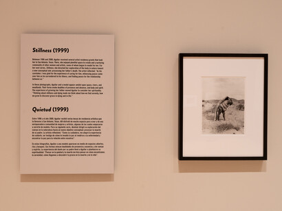 Laura Aguilar, Desnudos en la naturaleza, vista de exhibición. Cortesía de Phoenix Art Museum