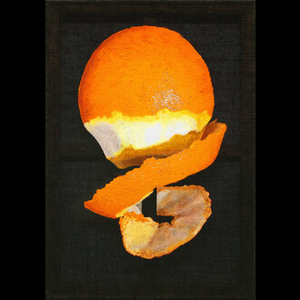 Maja Vukoje. Courtesy of Belvedere 21