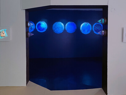 Katja Loher, Why Do The Waves Repeat the Questions I Ask Them? The Plankton Manifesto, installation at LatchKey Gallery. Courtesy the artist and LatchKey Gallery, NYC