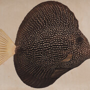 Crane Kalman Gallery