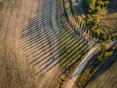 Sentiero con filari di alberi