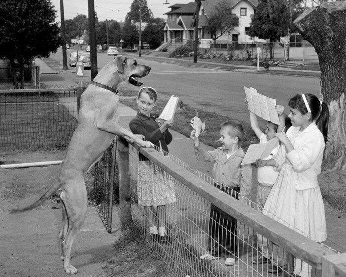 It’s Raining Cats and Dogs. Courtesy of MOHAI