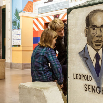 Africa. Courtesy of Field Museum