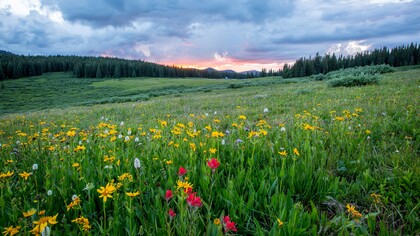 Il contatto diretto con la natura riduce l'esposizione a stimoli artificiali e favorisce una percezione più essenziale della realtà
