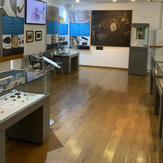 Journeys in time. The archaeology of the Carlow By-pass, exhibition view. Courtesy of Carlow County Museum