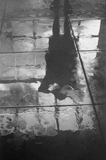 Helena Almeida. Courtesy of Art Institute of Chicago