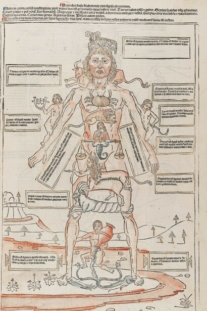  Tavola dell’Uomo Zodiacale. Johannes de Ketham, Fasciculus 
medicinae, Venezia, Giovanni e Gregorio de’ Gregori, 1491. Cortesía de la Fundación Giorgio Cini