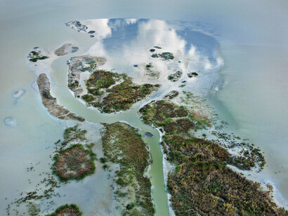 Anthropocene. Courtesy of Bryce Wolkowitz Gallery