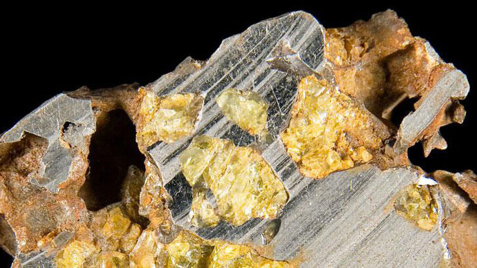 Mineral Hall. Courtesy of Royal Belgian Institute of Natural Sciences
