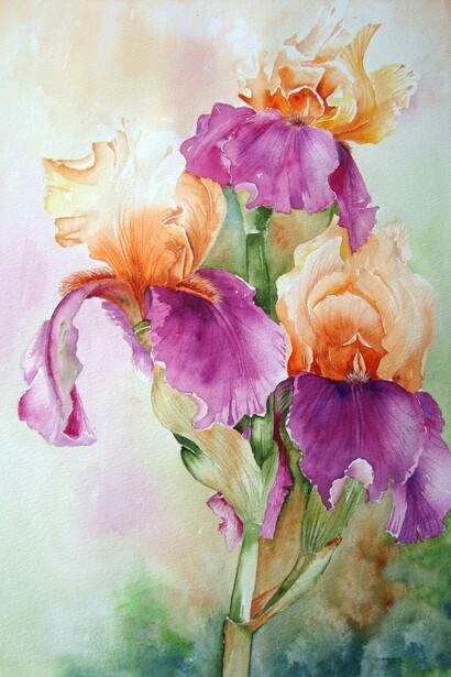 flores