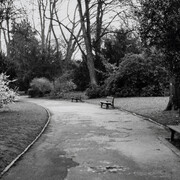 Marcia Hafif. Courtesy of Galerie Hubert Winter