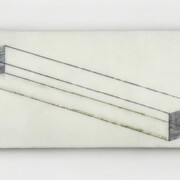 Black Corpora. Courtesy of Carrie Able Gallery