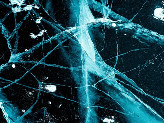 L'Amigdala è una piccola struttura del cervello situata nel lobo temporale e svolge un ruolo centrale nell'elaborazione delle emozioni