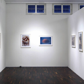 Lina Scheynius, Exhibition view. Courtesy of Christophe Guye Galerie