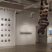 Truppe Fledermaus & the Carnival at the End of the World. Courtesy of ArtYard