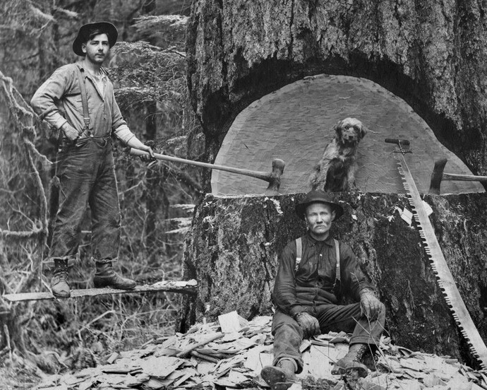 It’s Raining Cats and Dogs. Courtesy of MOHAI