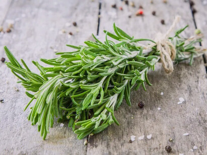Fitoterapia: en la antigua Grecia, el tomillo se utilizó como planta medicinal, para curar heridas de gravedad. Por otra parte, el tomillo se usó además en la Edad Media, como una planta medicinal muy valiosa, por ejemplo contra el asma o disnea