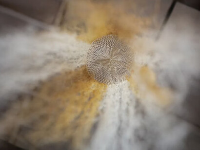 Juliana Góngora Rojas, Juven Piranga Valencia, Yinela Piranga Valencia, and Taller Masipai, La palabra dulce (The sweet word) (detail), 2020-25. Courtesy of The Art Institute of Chicago