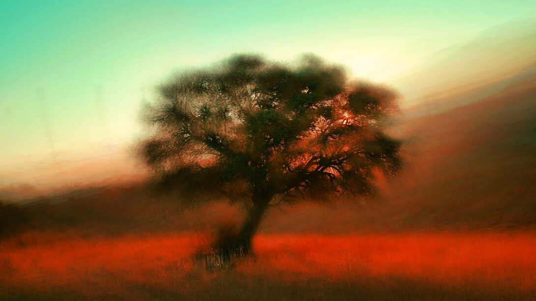 Filosofía es «el amor al saber». Este amor al saber, a conocer las causas primeras de las cosas