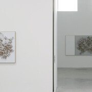 N. Dash. Courtesy of Zeno X Gallery